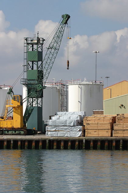 Port warehouse in Trieste/Italy: Oversea export of logs and timber Port warehouse in Trieste/Italy: Oversea export of logs and timber
