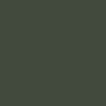 FENIX NTM Compactplatte Verde Comodoro 0750 mit Schutzfolie