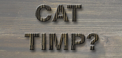 cookies_cat_timp_ro