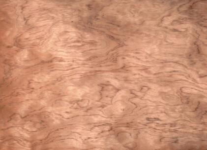 fotografie informativă Bubinga fotografie informativă Bubinga
