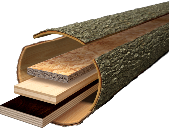 Kraftfahrer, in Leipzig, (m/w/d) ImHolz Leipzig