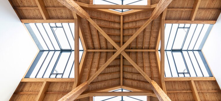 Lärchenbauholz in einer sichtbaren Dachkonstruktion mit großflächigen Glaselementen  | © RETROTIMBER
