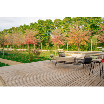 Heimische Lärche Terrassendiele AB KD Geriffelt/Glatt Heimische Lärche Terrassendiele AB KD Glatt/Glatt