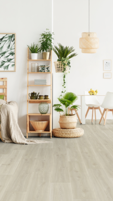 Eurowood Laminat Purus Eiche Nebelzeit, NK32; Nebelzeit; Laminat; Purus; Eiche; Klick; Mehrschicht-Aufbau; Dreidimensional vernetztes Melaminharz; HDF; NK 32; 1-Stab; umlaufend gefast (4V); glatt; Matt Look; 4687