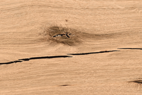 Admonter Landhausdiele Eiche stone rustic; stone; Parkett; Landhausdiele; Eiche; ca. 3,6 mm; Fichtenstäbe; Vollholz; braun; mittel; markant; rustic; 1-Stab; umlaufend gefast (4V)