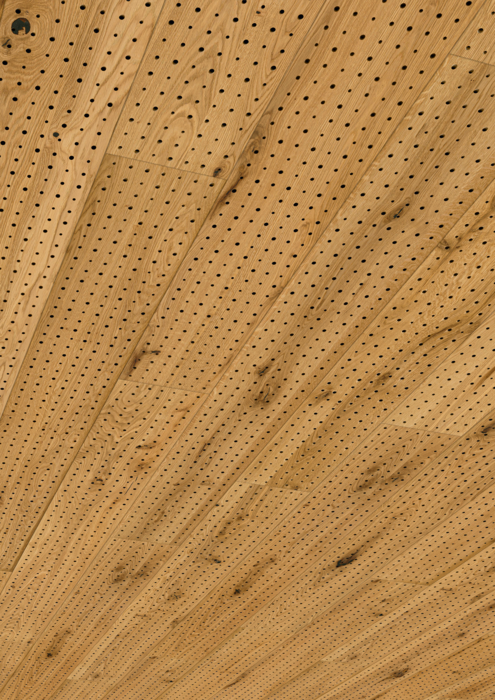 Admonter Acoustics Dot Eiche roh, gebürstet | J. u. A. Frischeis