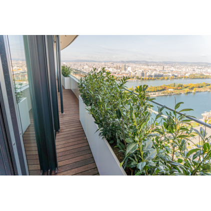 Bambus Terrassendiele Bamboo X-treme® bombiert mit seitlicher Nut, 3-seitig, geölt, stirnseitig Nut & Feder; Terrassendiele; Bamboo X-treme®; Thermobehandelt; UK (Unterkonstruktion), UK-Abstand und Befestigung sind Empfehlungen; Holz-Alu, Clip,Holz-Holz, Clip; Kalkulationsrichtpreis mit Berücksichtigung eines durchschnittlichen Dielenabstands von 6 mm; Volldiele; Bambus; vorgeölt; A; Klasse 1; dunkelbraun; Dunkelbraun; ruhig; Stirnseitig Nut & Feder; Asien; Clip; Bambus; Thermoholz Bambus Terrassendiele Bamboo X-treme Bombiert, geölt, Grad®, dunkelbraun; Terrassendiele; Bamboo X-treme® Grad®; Thermobehandelt; UK (Unterkonstruktion), UK-Abstand und Befestigung sind Empfehlungen; Holz-Alu, Perfect Rail,Holz-Alu, Flat Rail,Holz-Holz, Grad® Stab; Kalkulationsrichtpreis mit Berücksichtigung eines durchschnittlichen Dielenabstands von 6 mm; Volldiele; Bambus; A; Klasse 1; dunkelbraun; Dunkelbraun; ruhig; Asien; Grad®; Perfect Rail; Thermoholz