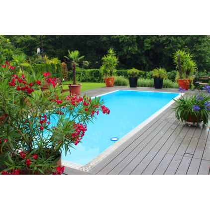 WPC podovi; Terrain; Puno drvo; WPC; svetlo siva; Silver Maple; živahna; Severna Amerika; R11 - R12; WPC - TimberTech