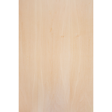 Panel | Holver